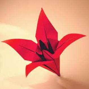 images (17) - Origami