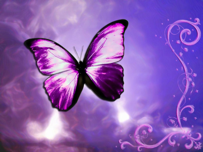 butterfly-life-violet-awesome - fluturasi