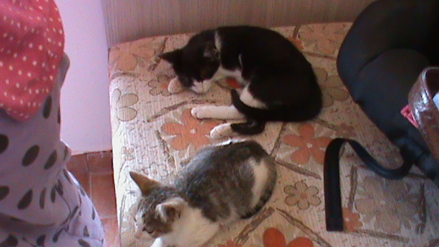 DSC03505 - ILINCA