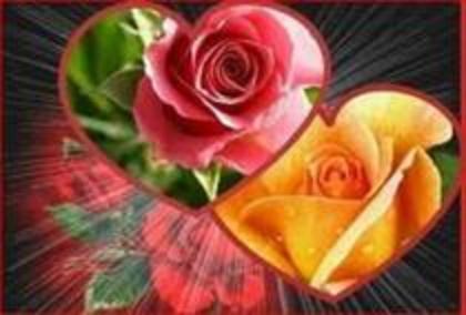 y love you