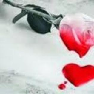 y love you