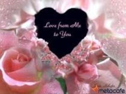 y love you