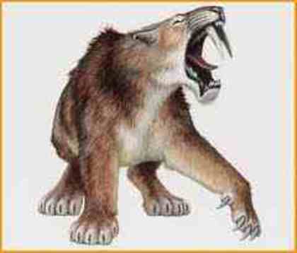 gfh5r - smilodon