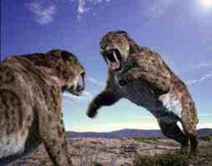 images - smilodon