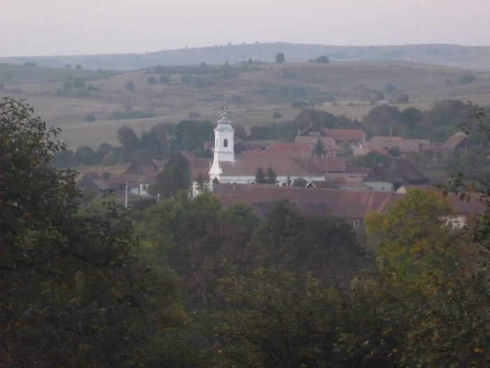 P1080802