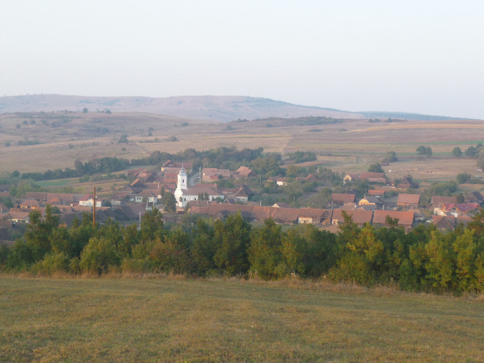 P1080775