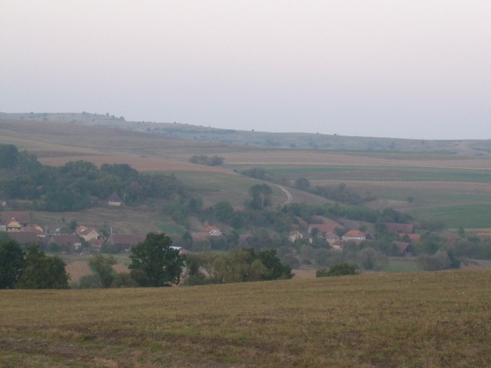 Capatul ESTIC al Satului Palos ,vazut de pe Dealul Branzii la 26 sept. 2011.