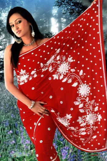 indian-saree-nm101 - Sari-uri