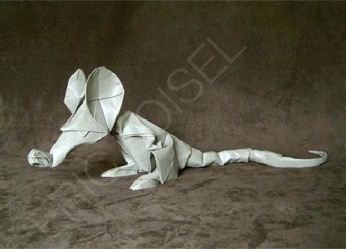 origami - Poze origami