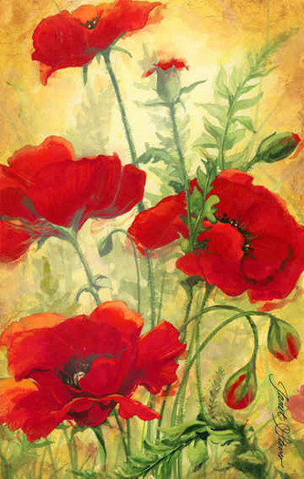 Poppy_Field_II-72