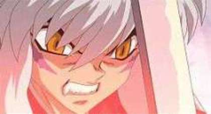 inu5uo0 - Inuyasha