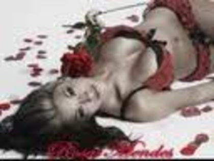 imagesCARS90EJ - divas valentines day