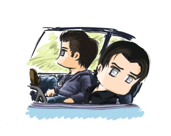 Stefan & Damon - Cartoons