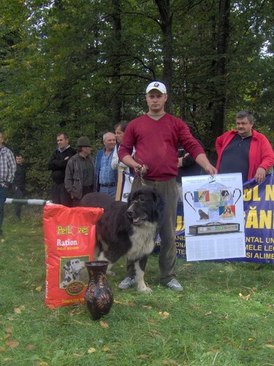 IM000165 - expozitie Ilisesti-Suceava