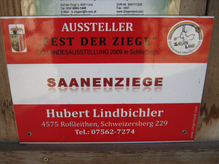ferma de capre - saane -Austria - Saanenziege fam Linbichler Elisabeth u Hubert
