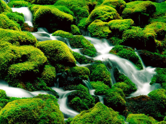 Clearwater Falls, Umpqua National Forest, Oregon