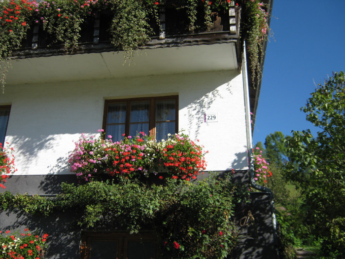 o casa de fermieri in Austria