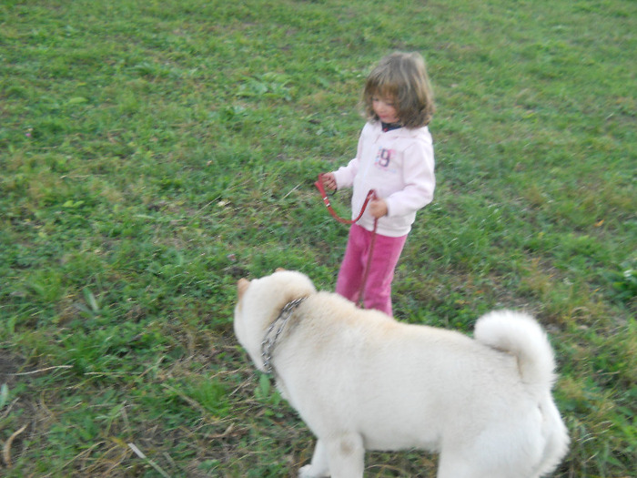 septembrie 2011 308 - sharpei bear coat