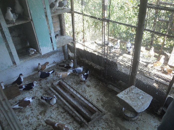 DSCN3519 - 1825 Sorin Constantinescu