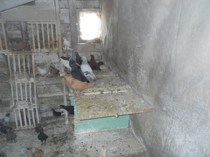 DSCN3576 - 1825 Sorin Constantinescu