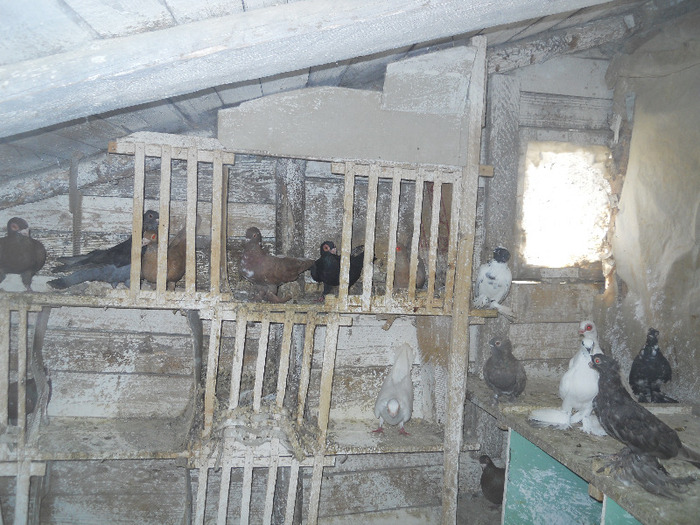 DSCN3589 - 1825 Sorin Constantinescu