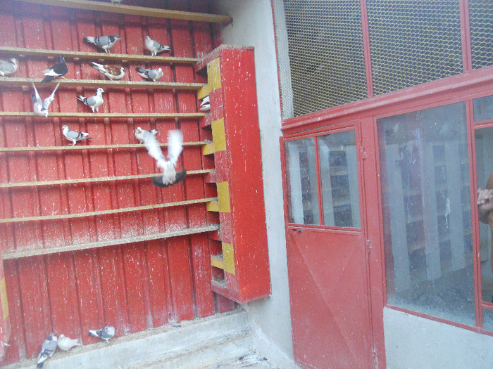 DSCN3638 - 1826 Vali Pascu