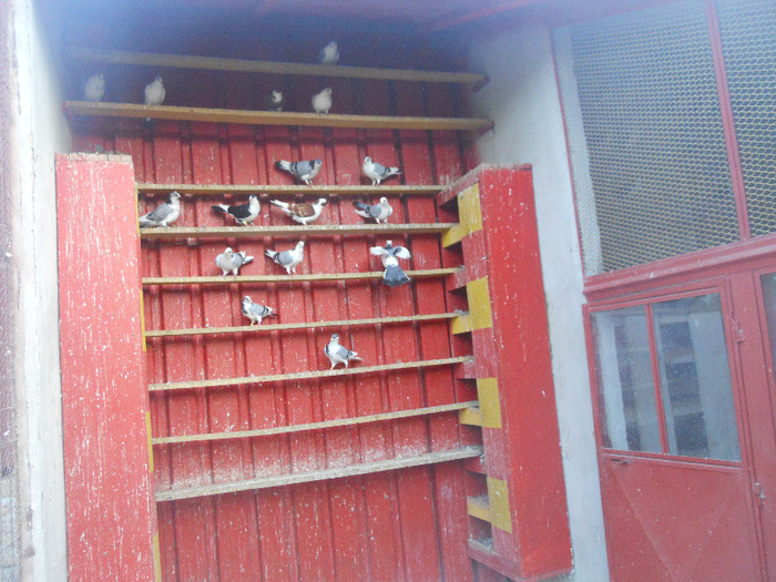 DSCN3639 - 1826 Vali Pascu