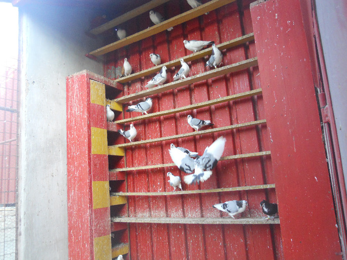 DSCN3651 - 1826 Vali Pascu