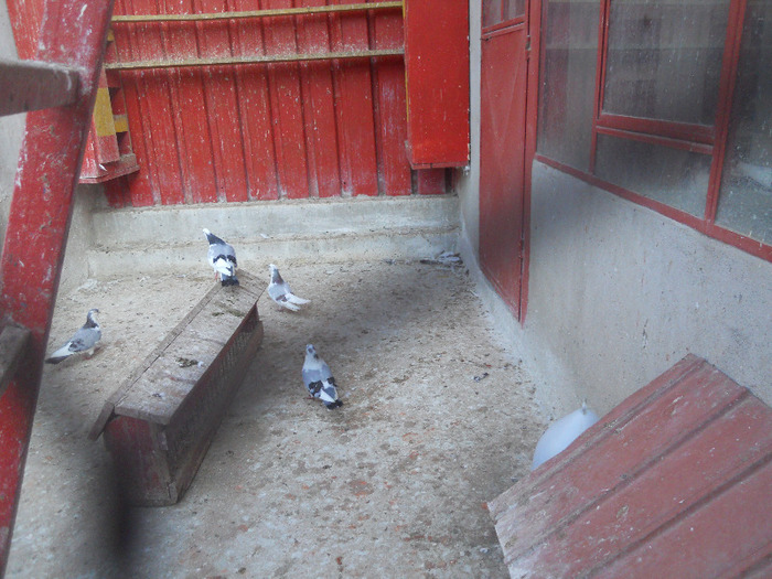 DSCN3658 - 1826 Vali Pascu