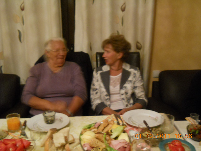 Sfestania casei Vasile si Maria1X2011