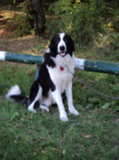 ilisesti 2011 7