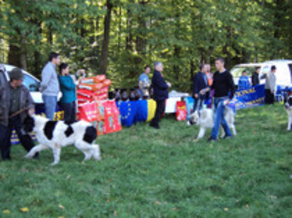 ilisesti 2011 9