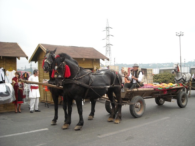 3970 - cai din bucovina