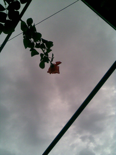 Imag051