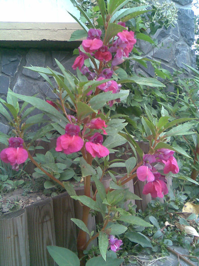 Imag057