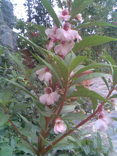 Imag058
