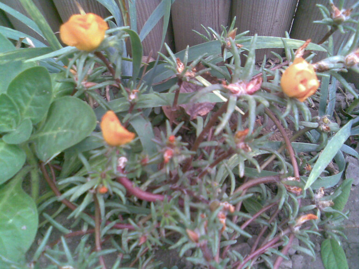 Imag059