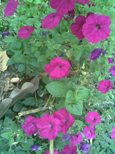 Imag060