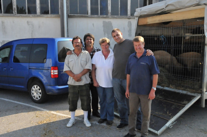 Export Rumanien -cu fam.Schutz