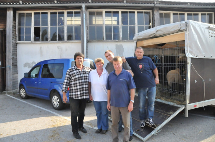 Exportam oi in Ro-Iasi din-Wels