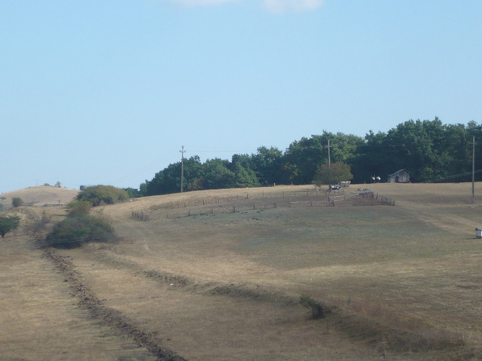 P1200170