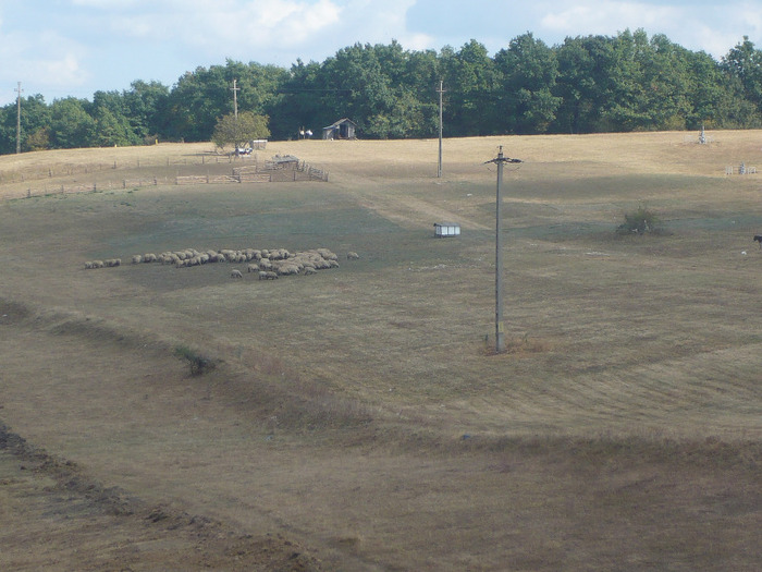 P1200184