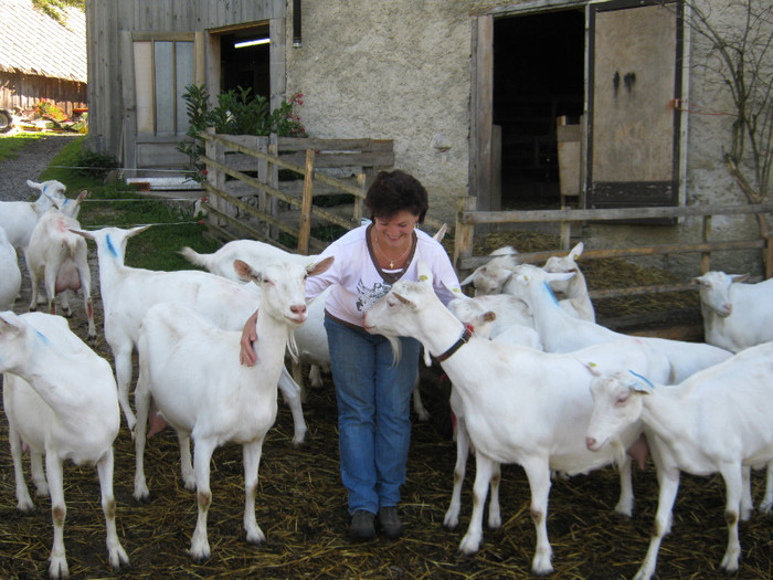 doamna Elisabetha cu caprele - crescatori de capre -austria ziege farm