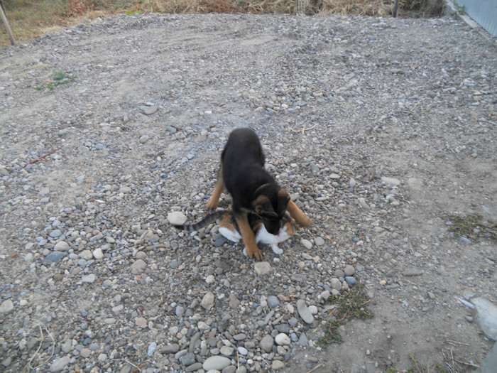 DSCN0146