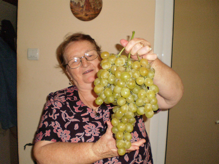 MARIA LA CULES DE VIE LA BICUTA