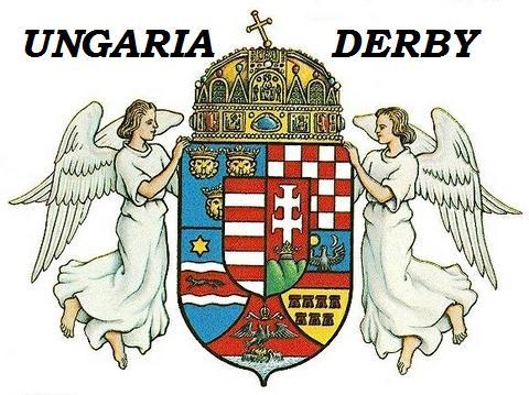 UNGARIA DERBY - UNGARIA-DERBY-ring collection