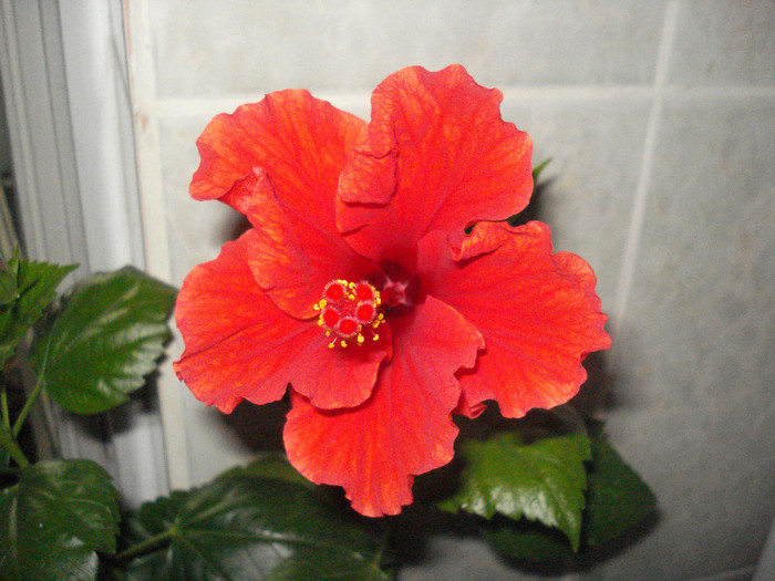 DSC00469