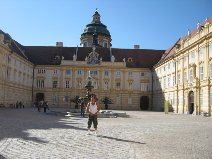 in curtea manastiirii-Ens