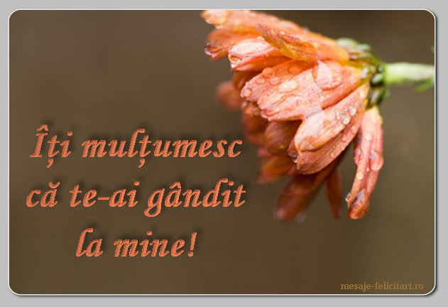 Multumesc ca te-ai gandit la mine