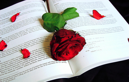 1496011496_87fa70a6bb